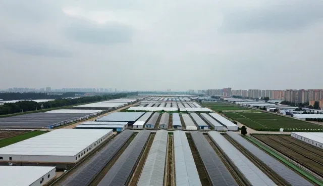 接口对接中的常见问题及解决方案分析